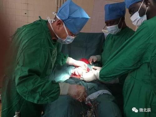 摘除睾丸手术视频,专业视角下的医学解析