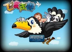 飞禽走兽视频,自然界的灵动画卷