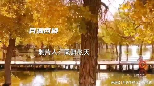 月满西楼视频,穿越时空的浪漫邂逅