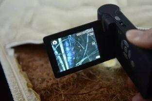 床垫上跳视频,捕捉童真瞬间