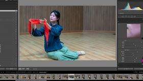 lightroom入门教程视频,视频精华概述