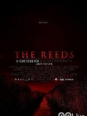 簧片视频观看,探索声音产生的奥秘