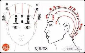 肩颈刮痧手法视频,轻松缓解疲劳，焕发活力