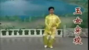李德印视频,揭秘传统武术精髓与实战技巧