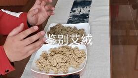 艾灸古法养生视频全集,传承千年智慧，揭秘健康密码