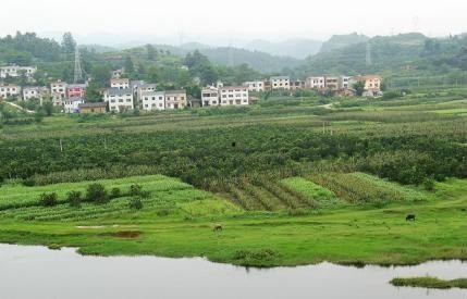 向西村视频,传统与现代交融的乡村画卷