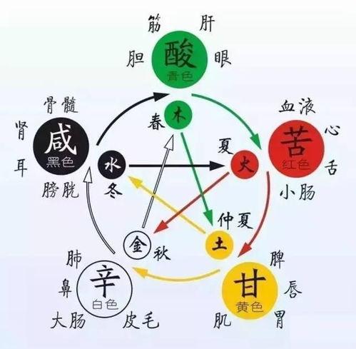 五行灸视频
